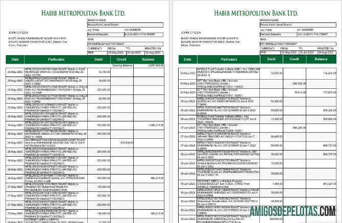 em branco Paquistão Habib Metropolitan modelo de extrato bancário Word e PDF, 5 páginas 1 2